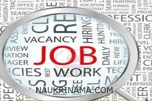 जॉब डाइजेस्ट 21 जून 2019 :-  डाटा एंट्री ऑपरेटर,टेक्नीशियल डाटा एसोसिएट के 100 से भी ज्यादा पदों पर भर्तियॉ, 10वीं से स्नातक पास करें आवेदन,