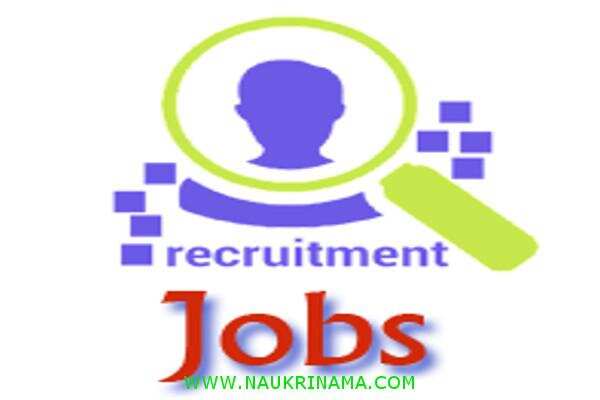 जॉब डाइजेस्ट 18 December 2019- फिर नहीं मिलेगा आपको सरकारी नौकरी पाने का ऐसा मौका, आज ही आवेदन करें