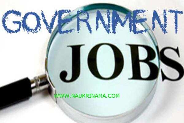जॉब डाइजेस्ट 14 June 2019-MBBS, स्नातक, बी.टेक पास युवाओं के लिए विभिन्न सरकारी विभाग में निकली भर्तियां, यहां से करें आवेदन