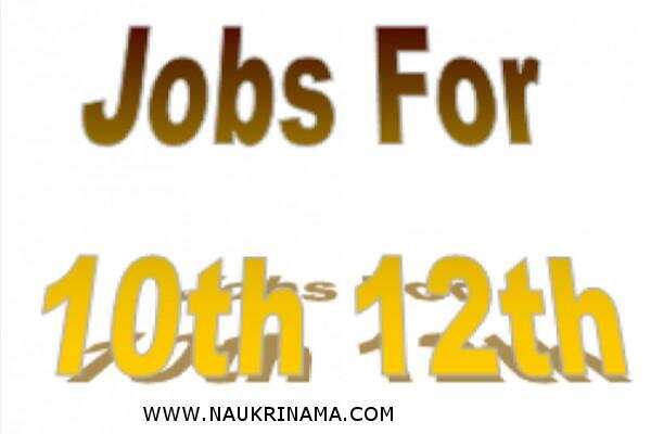 जॉब डाइजेस्ट 28 Feb 2019- 10वीं पास के लिए ऐसा मौका सरकारी नौकरी पाने का, जल्द से जल्द करें आवेदन