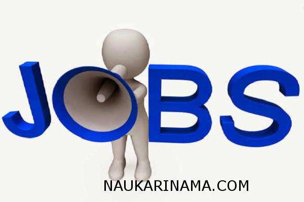 जॉब डाइजेस्ट 11 March 2019 – इंजीनियरिंग पास उम्मीदवारों के लिए अच्छी खबर,करें आज ही इन बम्पर पदों पर भर्ती के लिए आवेदन