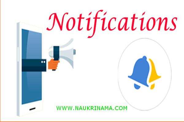 जॉब डाइजेस्ट 16 December 2019- बी.टेक, स्नातक, 10वीं, 12वीं पास युवाओं के लिए मौका सरकारी नौकरी पाने का और अपना सपना पूरा करने का