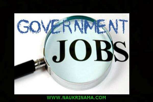 जॉब डाइजेस्ट 12 January 2020- राजस्थान पुलिस विभाग में विभिन्न पदों पर भर्तियां, 10वीं, 12वीं, स्नातक पास युवा करें आवेदन