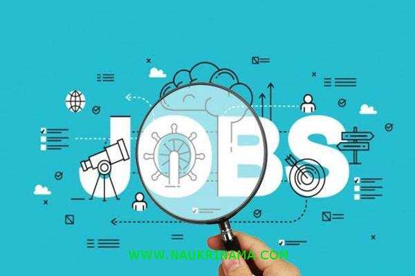 जॉब डाइजेस्ट 21 August 2019-  एक नहीं, दो नहीं हजारों रिक्त सरकारी पदों पर निकली बम्पर भर्तियां, योग्य युवा पास सकते हैं सरकारी नौकरी