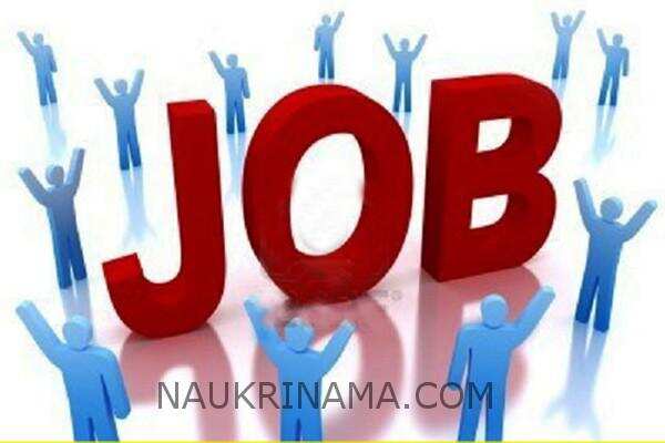 जॉब डाइजेस्ट 10 जुलाई 2019 :- लॉ क्लर्क, सुपरवाइजर, अकाउंटैंट, एलएलबी पास के लिए विभिन्न पदों पर भर्तियॉ, अभी करें आवेदन