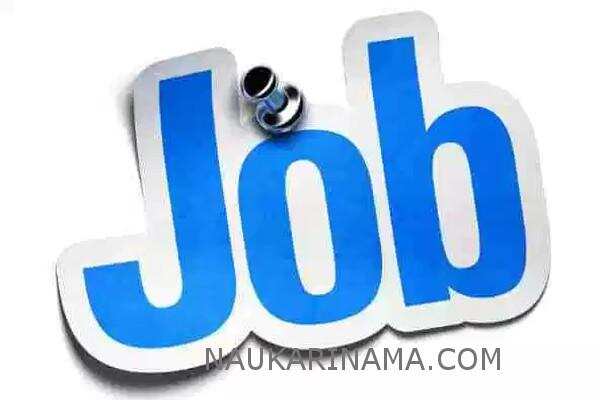 जॉब डाइजेस्ट 20 Feb 2019 –10वीं पास के लिए निकली हजारों पदों पर बंपर वैकेंसी