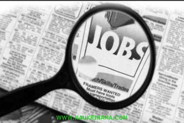 जॉब डाइजेस्ट 12 March 2020- फिर नहीं मिलेगा आपको ऐसा मौका सरकारी नौकरी पाने का और अपने सपने पूरा करने का