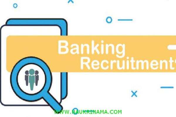 जॉब डाइजेस्ट 6 November 2019- बैंक में निकली बी.टेक और स्नातक पास युवाओं के लिए बम्पर भर्तियां, युवा करें आवेदन