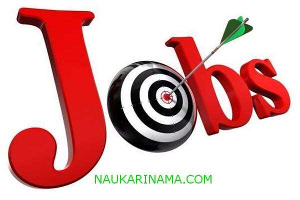 जॉब डाइजेस्ट 23 March 2019 –पंजाब पीएससी,यूपीएससी,ओपीएससी जैसे अनेक विभागों मे निकली बंपर वैकेंसी, दसवी से डिप्लोमा पास के लिए बड़ा मौका, जल्द से जल्द करे आवेदन