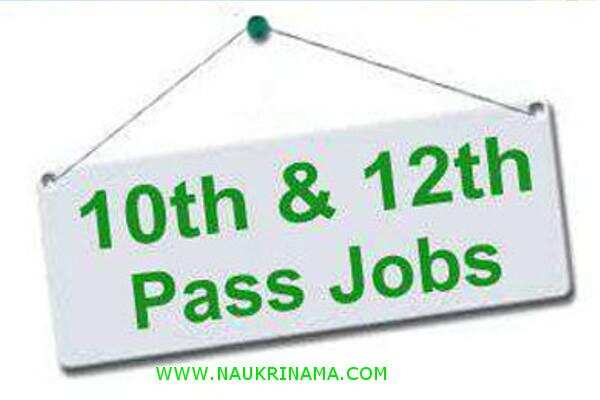 जॉब डाइजेस्ट 28 April 2019- अगर 10वीं पास हैं और कर रहे हैं सरकारी नौकरी की तलाश, तो आप क्लर्क, ट्रेनी, सहायक के पदों पर निकली भर्तियों पर आवेदन करें