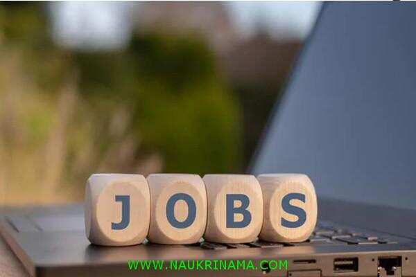 जॉब डाइजेस्ट 18 October 2019- इंजीनियरिंग पास बैरोजगार युवाओं लिए बड़ी खुशखबरी, यहां निकली सरकारी नौकरियां