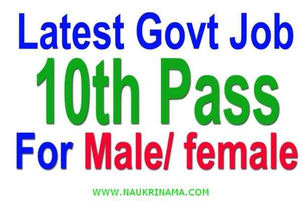 जॉब डाइजेस्ट 14 June 2020:-गोवा लोक सेवा आयोग ने प्रोफेसर के पदों पर निकाली सरकारी भर्तियां, अनुभवी करें आवेदन