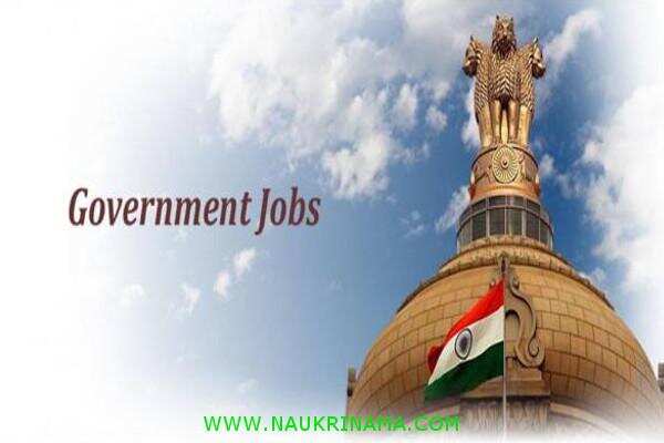 जॉब डाइजेस्ट 02 December 2019- क्या आप 10वीं पास हैं और ड्राइविंग आती हैं, तो आप बन सकते हैं कांस्टेबल, यहां से करें आवेदन