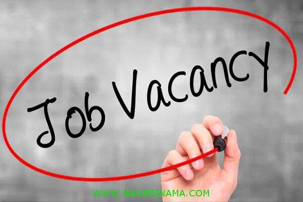 जॉब डाइजेस्ट 16 October 2019- विभिन्न राज्य के लोक सेवा आयोग ने इंजीनियर, अधिक्षक, सहायक जैसे बड़े पदों पर बम्पर भर्तियां निकाली हैं, युवा जल्द करें आवेदन