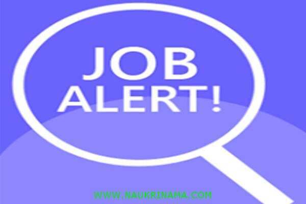 जॉब डाइजेस्ट 21 June 2020:- पश्चिम बंगाल में मेडिकल ऑफिसर के 2500 पदों पर निकली हैं बम्पर भर्तियां, योग्य युवा करें आवेदन और पाए नौकरी