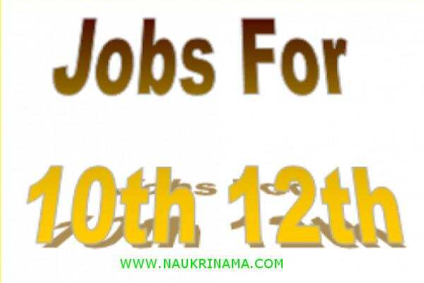जॉब डाइजेस्ट 15 March 2019- सुपरवाइजर, ट्रेनी, होमगार्ड  तथा अन्य विभिन्न पदों पर 10वीं पास के लिए निकली भर्तियां, मौका हैं नौकरी पाने का आज ही करें आवेदन