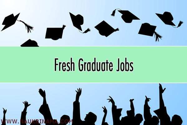 जॉब डाइजेस्ट 23 Feb 2019- स्नातक पास युवाओं के लिए बम्पर भर्तियां, आज ही आवेदन करें