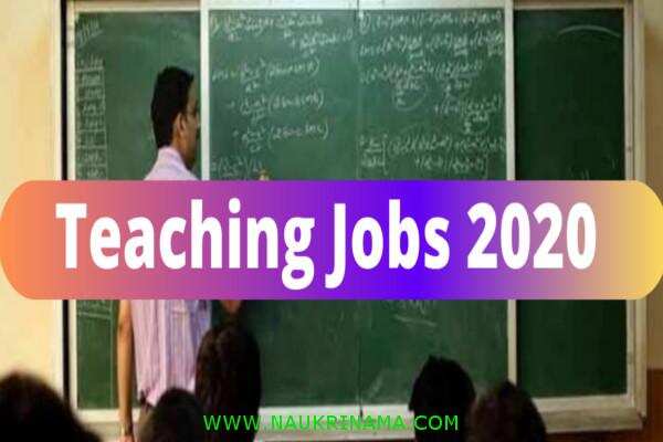 जॉब डाइजेस्ट 4 March 2020- सरकारी शिक्षक बनाने का ऐसा मौका फिर नहीं मिलेगा, कहां है आपका ध्यान आज ही आवेदन करें इन पदों के लिए