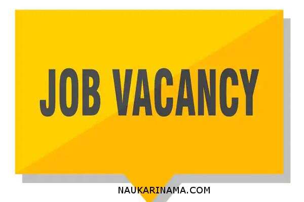 जॉब डाइजेस्ट 12 Feb 2019 – स्नातक पास के लिए खुशखबरी,निकली बड़ी संख्या मे वैकेंसी