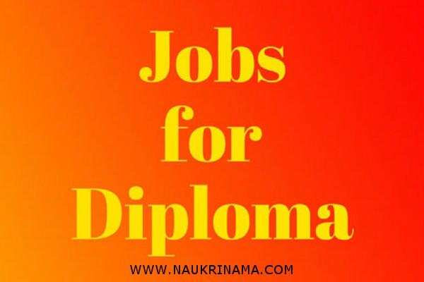 जॉब डाइजेस्ट 31 May 2020:- वरिष्ठ रेजिडेंट, नर्सिंग ऑफिसर और अन्य विभिन्न पदों पर निकली भर्तियां, युवा करें आवेदन
