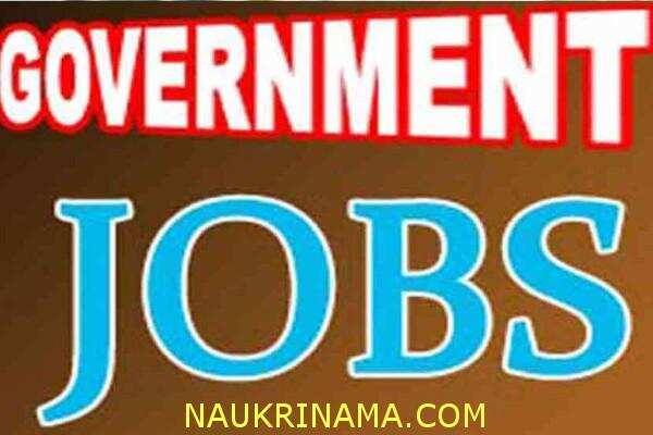 जॉब डाइजेस्ट 28 Feb 2019 – 12वीं पास के लिए निकली इन बंपर पदों पर भर्तियां,करें आज ही आवेदन