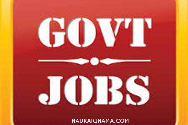 जॉब डाइजेस्ट 13 Feb 2019 – यदि आप भी चाहते हैं सरकारी नौकरी तो अधिक जानकारी के लिए पढ़े पूरी डिटेल