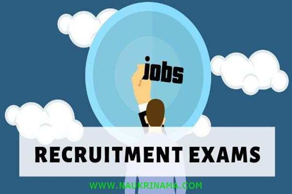 जॉब डाइजेस्ट 11 September 2019- इंजीनियर, टाइपिस्ट, कंट्रोलर आदि विभिन्न सरकारी हजारों पदों पर निकली भर्तियां, युवा करें आवेदन और पाए नौकरी