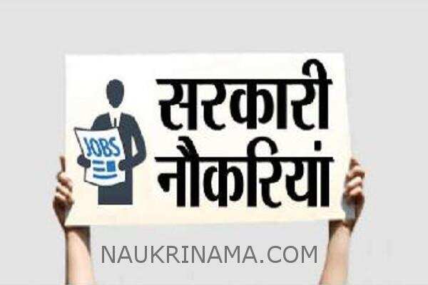 जॉब डाइजेस्ट 02 अगस्त 2019 :- इस बडे विभाग ने दिया सरकारी नौकरी पाने का सुनहरा अवसर, आवेदन कर पा सकते हैं सरकारी नौकरी