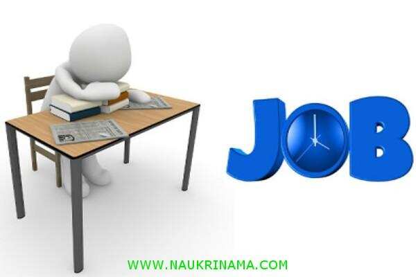 जॉब डाइजेस्ट 09 October 2019-ऐसा मौका नहीं मिलेगा 8वीं, 10वीं पास युवक और युवतियों के लिए सरकारी नौकरी पाने का, अंतिम तिथि है नजदीक