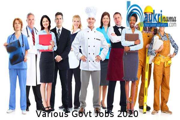 जॉब डाइजेस्ट 23 July 2020:- देश के मेडिकल विभाग में वार्ड से चिकित्सक के पदों पर निकली भर्तियां, युवा करें आवेदन