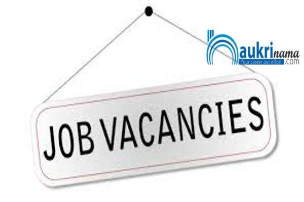 जॉब डाइजेस्ट 26 July 2020:- देश के विभिन्न राज्यों में निकली हैं मेडिकल फील्ड में भर्तियां, योग्य युवा करें आवेदन