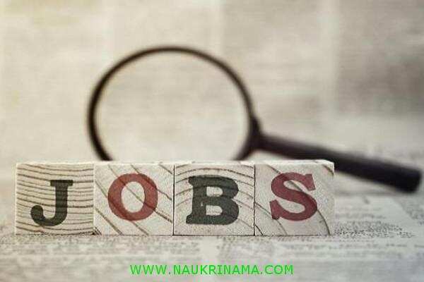 जॉब डाइजेस्ट 6 January 2020- 12वीं पास के लिए इस रक्षा विभाग में निकली बम्पर भर्तियां, युवाओं के पास देश की सेवा करने का सुनहरा अवसर