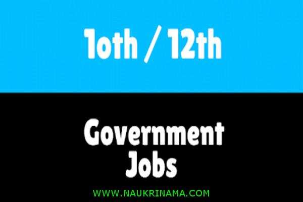 जॉब डाइजेस्ट 28 April 2020:-10वीं और 12वीं पास के लिए आर्मी में निकली भर्तियां, युवा करें आवेदन