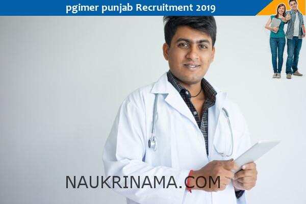 पंजाब सरकार ने सीनियर रेजीडेंट के पदों पर निकाली भर्तियॉ, इंटरव्यू के माध्यम से होगा चयन