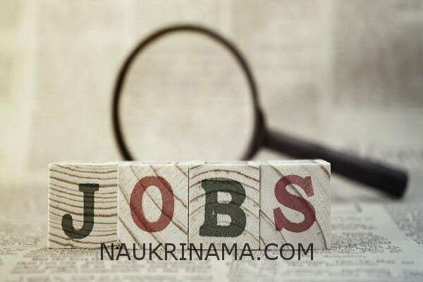 जॉब डाइजेस्ट 04 अप्रैल 2019 :- प्रोफेसर, स्पेशल ऑफिसर, पटवारी, ग्राम सेवक के लाखों पदों पर भर्तियॉ, वेतन – 78,800/- प्रतिमाह