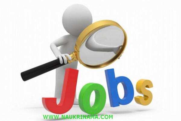 जॉब डाइजेस्ट 04 August 2019- बिजली विभाग में 10वीं पास युवाओं के लिए निकली बम्पर भर्तियां, युवा अंतिम तिथि से पहले आवेदन करें