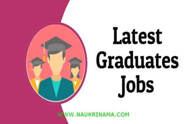 जॉब डाइजेस्ट 13 August 2019- इंजीनियर के पदों पर भारत के विभिन्न सरकारी विभागो में निकली भर्तियां, युवा आवेदन करें और पाए नौकरी