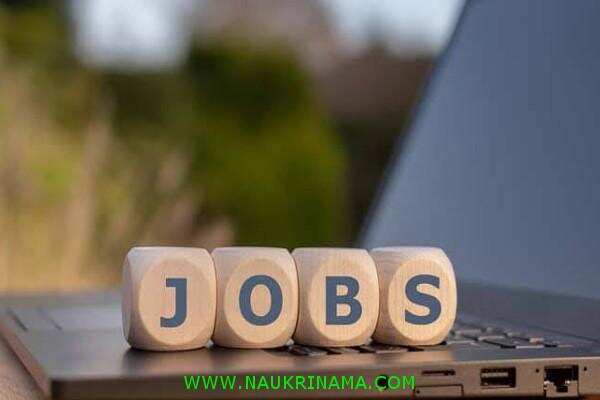 जॉब डाइजेस्ट 13 November 2019- टीचिंग से जुड़े युवाओं के लिए सरकारी नौकरी प्राप्त करने का सुनहरा अवसर