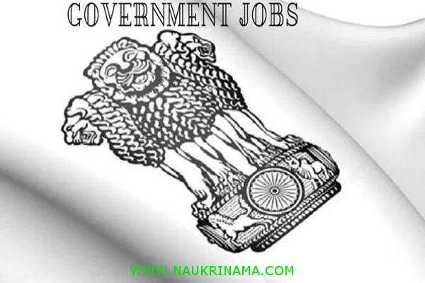 जॉब डाइजेस्ट 12 December 2019- फिर नहीं मिलेगा आपको ऐसा मौका बैंक में नौकरी पाने का, अभी करें आवेदन