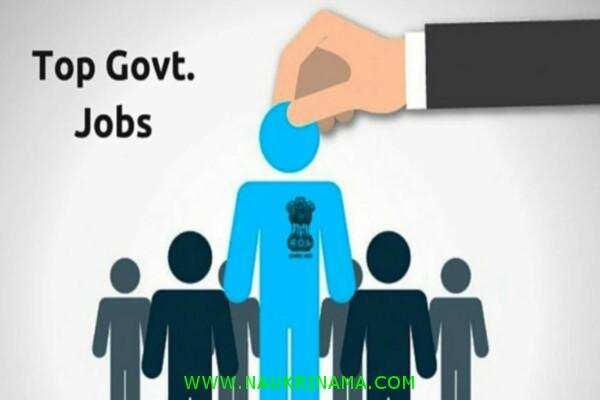 जॉब डाइजेस्ट 5 June 2020:-  अगर मेडिकल फील्ड में पाना चाहते हैं नौकरी, तो आज ही इन पदों के लिए करें आवेदन