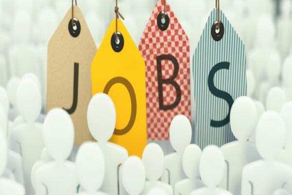 अगर आप सरकारी नौकरी की तलाश में हैं तो ध्यान दें इन बंपर वैकेंसी पर,हरियाणा सरकार ने निकाली बड़ी संख्या मे भर्तियां