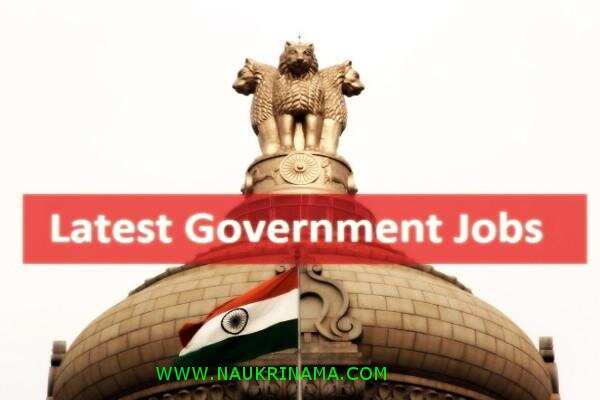 जॉब डाइजेस्ट 23 April 2019- इंस्पेक्टर, प्रोफेसर, तकनीशियन के पदों पर युवा करें आवेदन और पाएं सरकारी नौकरी, ऐसा मौका फिर कहां मिलेगा