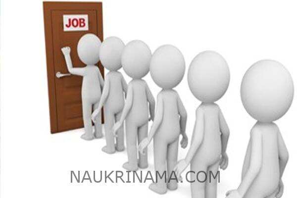 जॉब डाइजेस्ट 24 जुलाई 2019 :- इस विभाग में निकली हजारों पदों पर भर्तियॉ, आप के पास है मौका सरकारी नौकरी पाने का