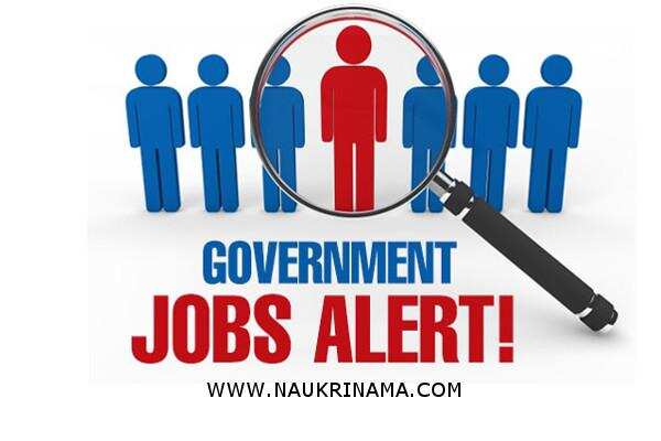 जॉब डाइजेस्ट 17 Feb 2019- सरकारी नौकरी पाने का ऐसा सुनहरा अवसर, आज ही आवेदन करें