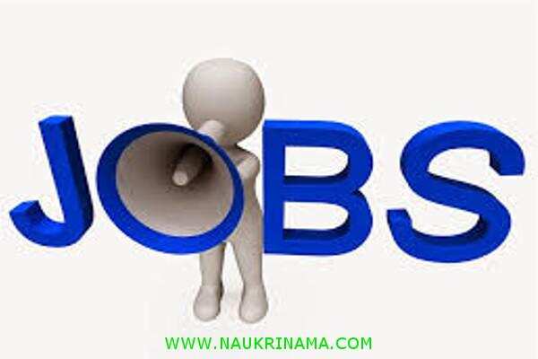 जॉब डाइजेस्ट 14 October 2019- अंतिम तिथि हैं नजदीक, आज ही इन पदों के लिए करें आवेदन, कहीं मौका हाथ से निकल ना जाए