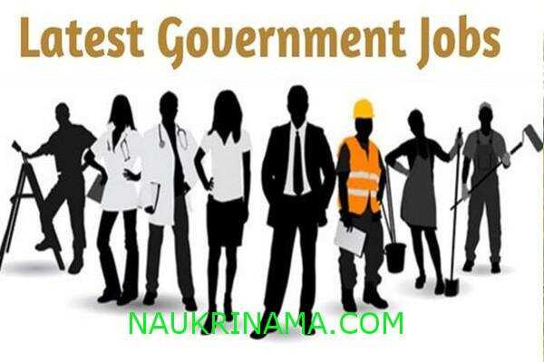 जॉब डाइजेस्ट 19 जुलाई 2019 :- आप कर सकते हैं अपने बच्चों तक के भविष्य को सुरक्षित, ये विभाग दे रहा नौकरी के बडे अवसर, जल्द करें आवेदन
