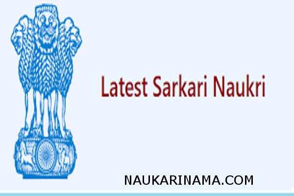 जॉब डाइजेस्ट 28 Feb 2019 – 10वीं पास इन बंपर पदों पर अप्लाई कर पा सकते हैं सरकारी नौकरी