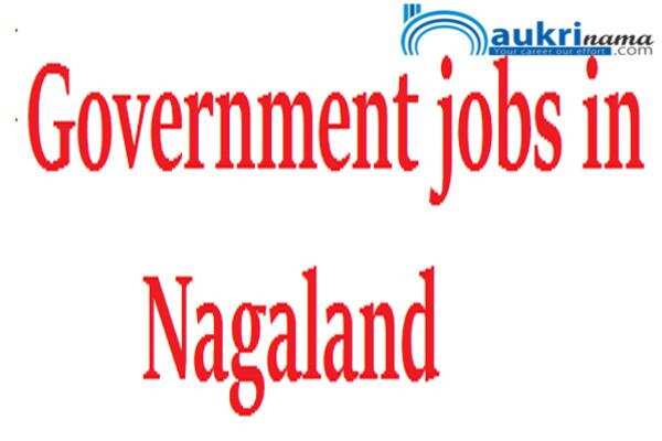 जॉब डाइजेस्ट 6 August 2020:- नागालैंड में चिकित्सक, वैज्ञानिक जैसे विभिन्न पदों पर निकली बम्पर भर्तियां, युवा करें आवेदन