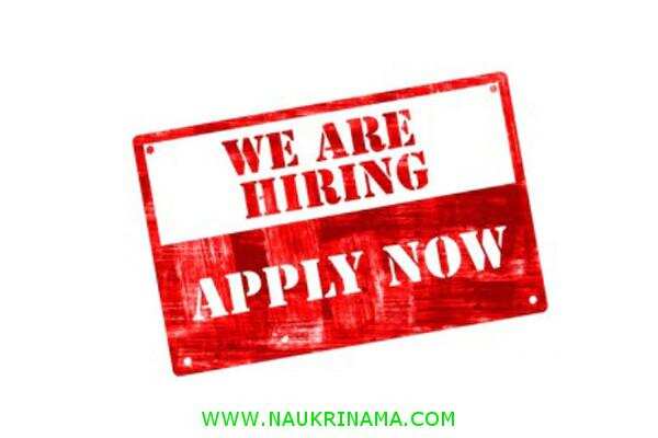 जॉब डाइजेस्ट 17 April 2020:- चिकित्सा विभाग में निकली विभिन्न पदों पर भर्तियां, ऐसा मौका हाथ से जाने ना दे आज ही आवेदन करें