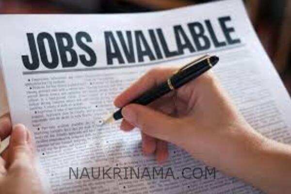 जॉब डाइजेस्ट 06 सितम्बर 2019 :-  इन सरकारी पदों पर सरकार ने दी बेहतरीन छूट, उम्मीदावरों को मिलेगी रहने तक की सुविधा